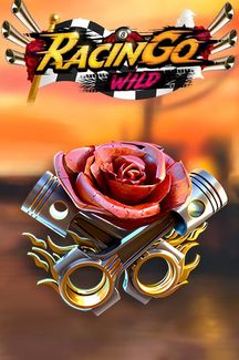 Racingo Wild FBM Easy Money Link