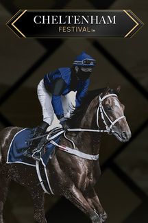 Virtual! Horse Racing At Cheltenham Festival